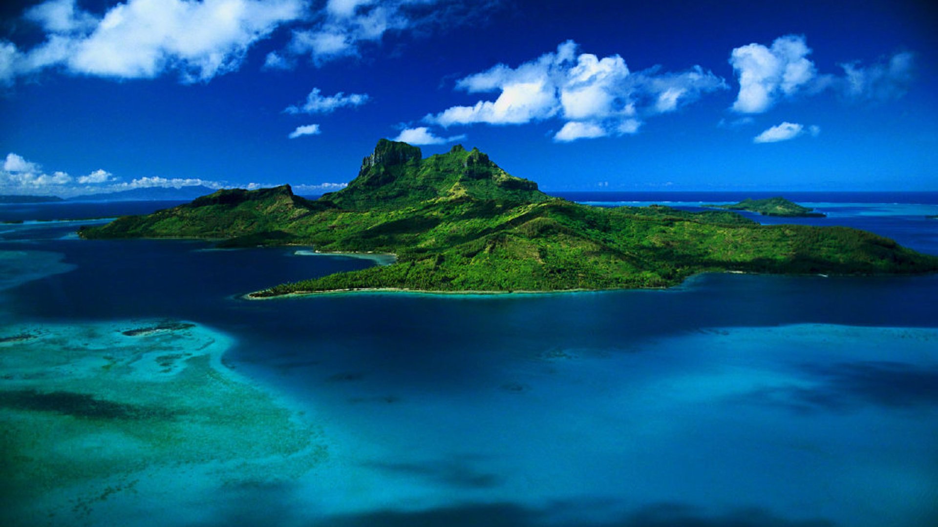 【product-image-alt】-【GROUP D】【cC】 在这个世间，有一些无法抵达的地方。无法靠近的人。无法完成的事情。无法占有的感情。无法修复的缺陷。——安妮宝贝《莲花》-Wrist watch